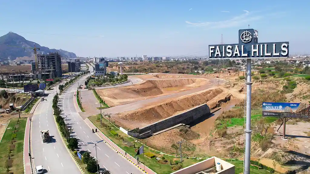 Faisal Hills